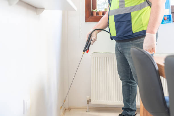 Best Rat Extermination Near Me  in Huntington, WV